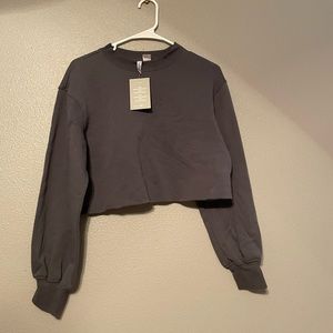 Gray Cropped Sweatshirt